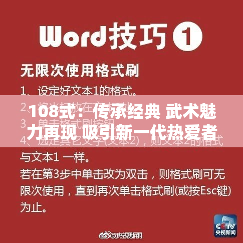 108式：传承经典 武术魅力再现 吸引新一代热爱者