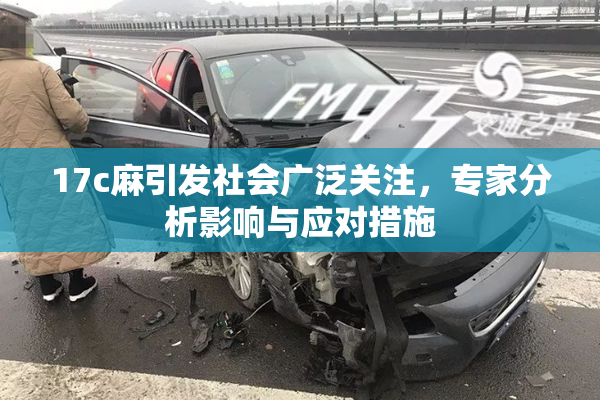17c麻引发社会广泛关注，专家分析影响与应对措施