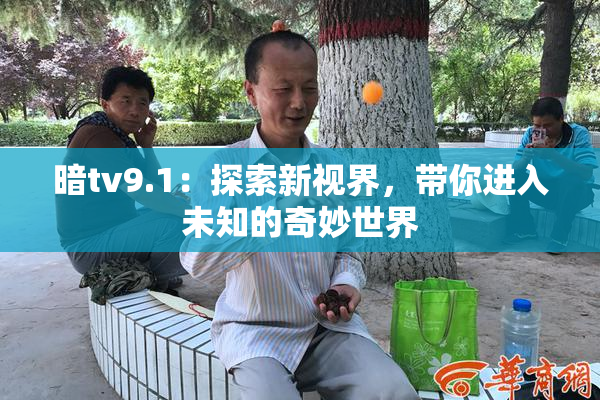 暗tv9.1：探索新视界，带你进入未知的奇妙世界
