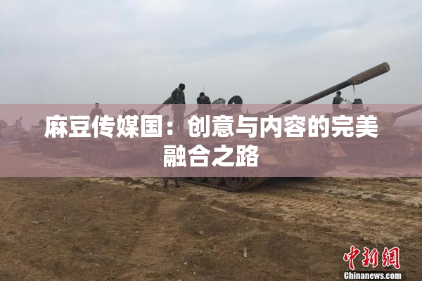 麻豆传媒国：创意与内容的完美融合之路