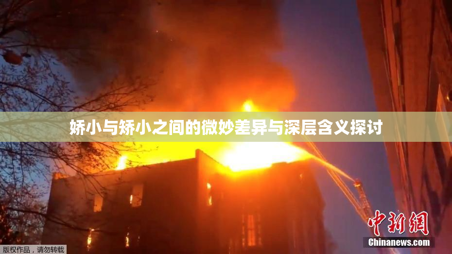 娇小与矫小之间的微妙差异与深层含义探讨