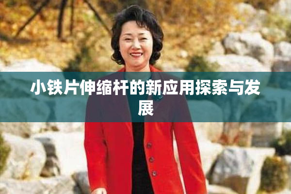 小铁片伸缩杆的新应用探索与发展