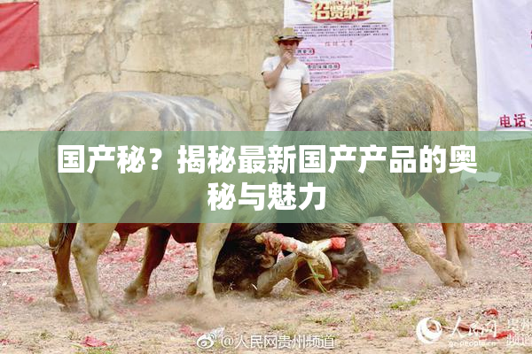 国产秘？揭秘最新国产产品的奥秘与魅力