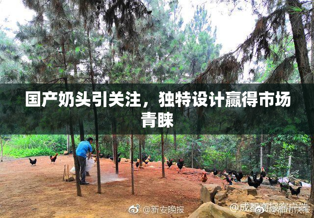 国产奶头引关注，独特设计赢得市场青睐