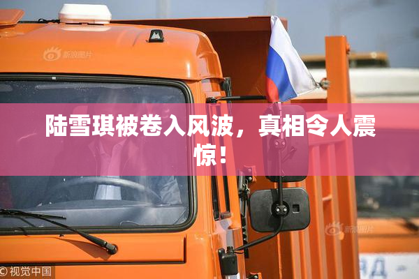 陆雪琪被卷入风波，真相令人震惊！