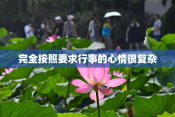 完全按照要求行事的心情很复杂