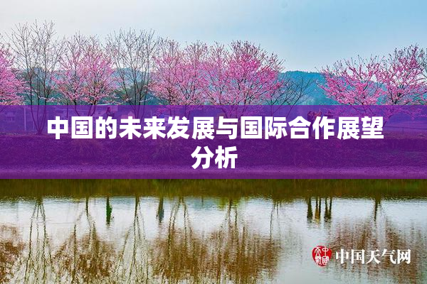 中国的未来发展与国际合作展望分析