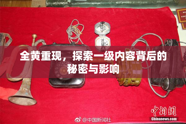 全黄重现，探索一级内容背后的秘密与影响