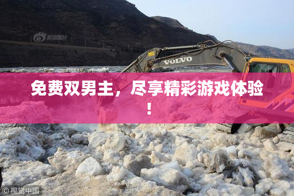 免费双男主，尽享精彩游戏体验！