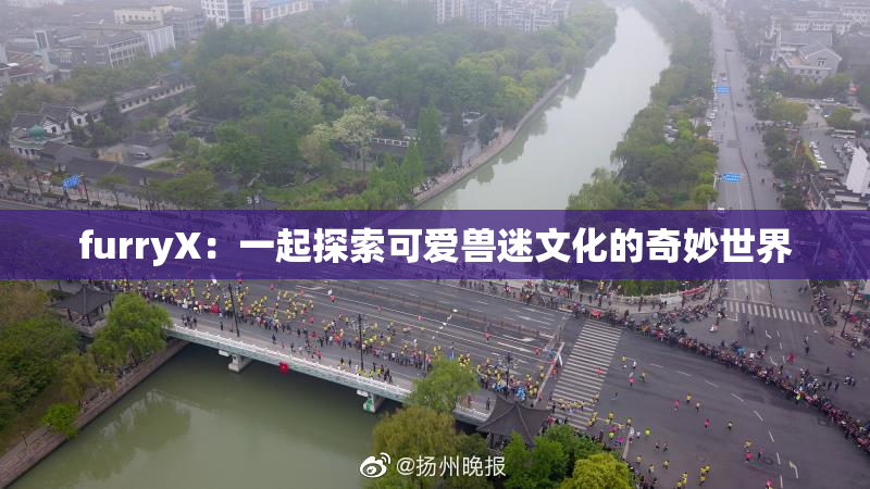 furryX：一起探索可爱兽迷文化的奇妙世界