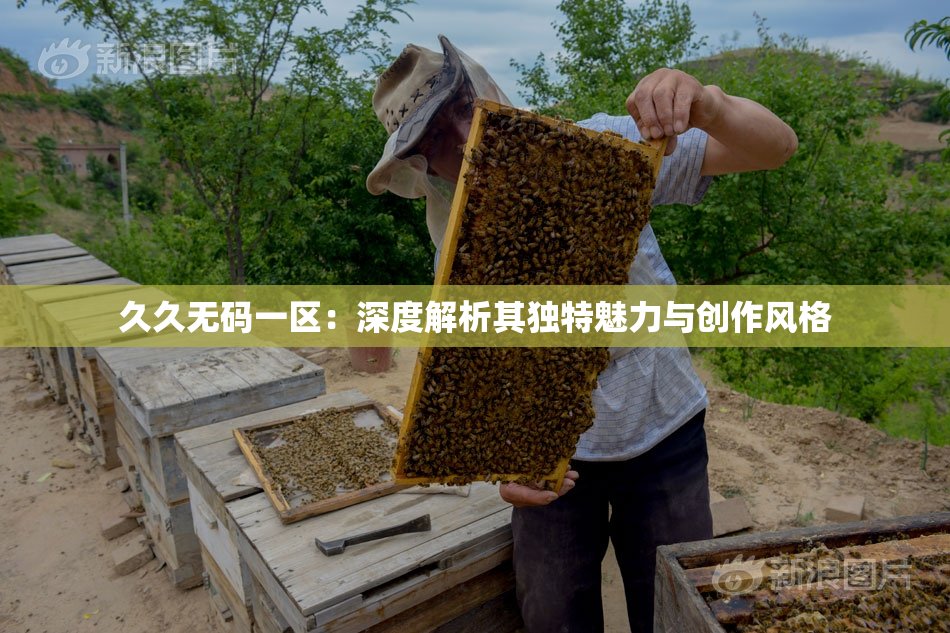 久久无码一区：深度解析其独特魅力与创作风格