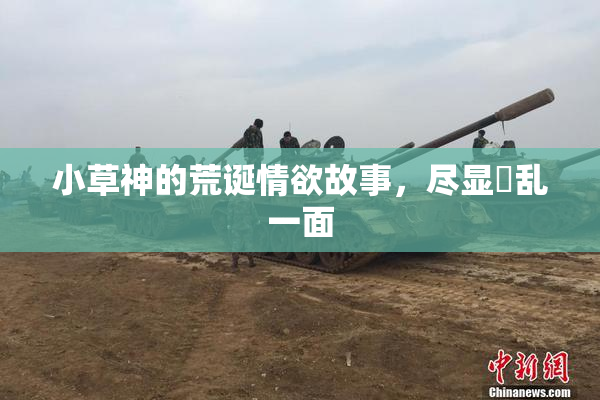 小草神的荒诞情欲故事，尽显婬乱一面