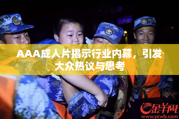 AAA成人片揭示行业内幕，引发大众热议与思考