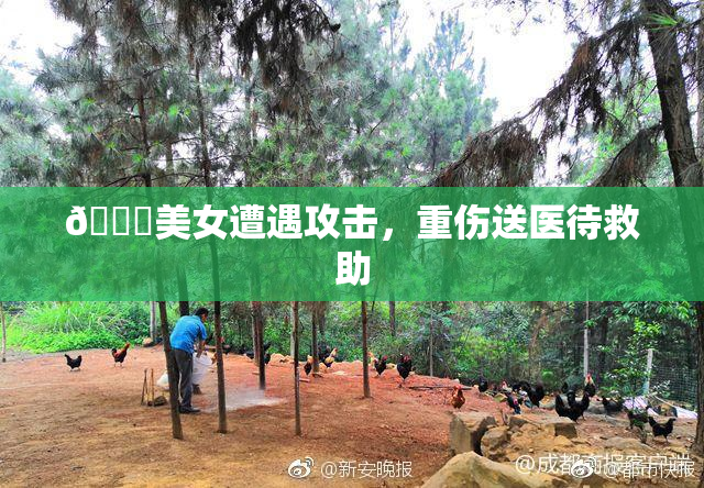 🔞美女遭遇攻击，重伤送医待救助