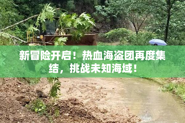 新冒险开启！热血海盗团再度集结，挑战未知海域！