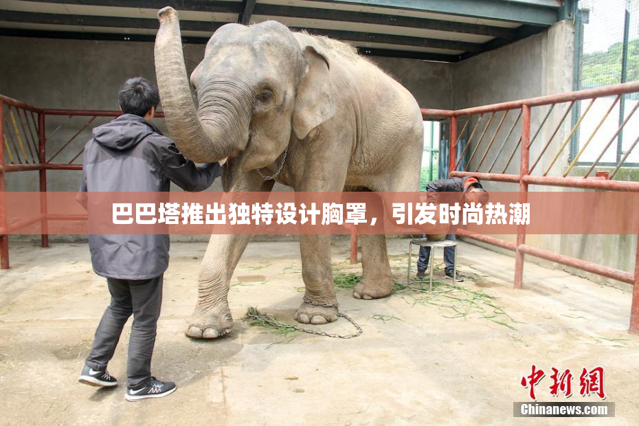 巴巴塔推出独特设计胸罩，引发时尚热潮