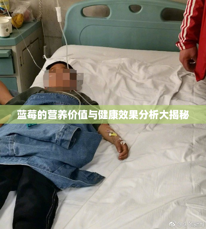 蓝莓的营养价值与健康效果分析大揭秘