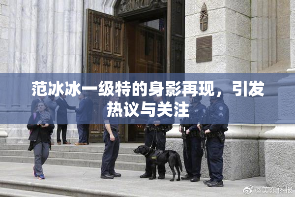 范冰冰一级特的身影再现，引发热议与关注