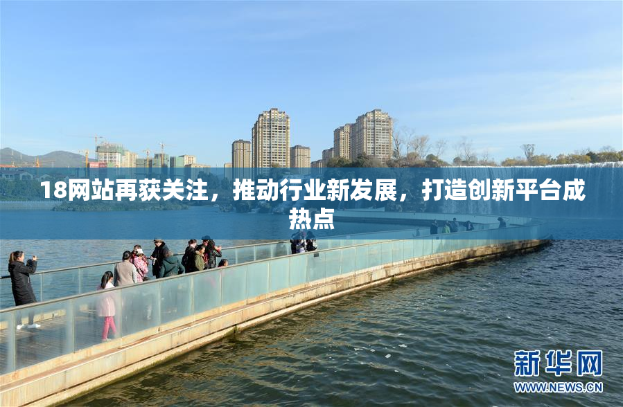 18网站再获关注，推动行业新发展，打造创新平台成热点