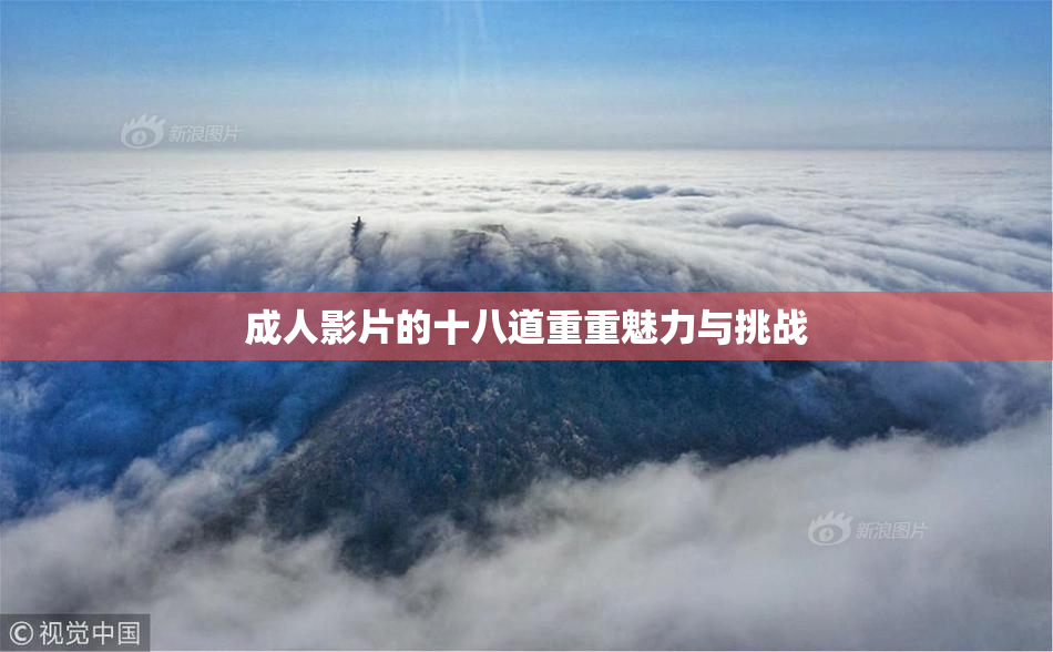 成人影片的十八道重重魅力与挑战