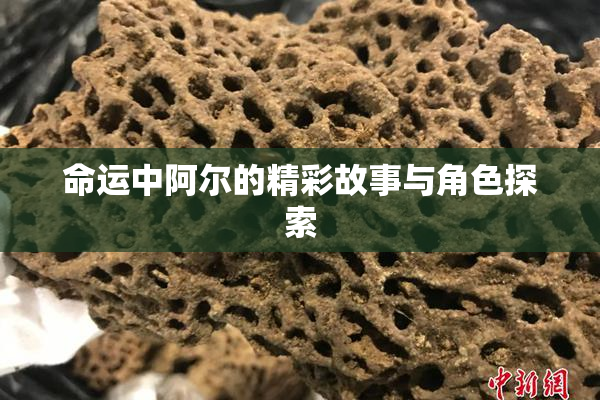 命运中阿尔的精彩故事与角色探索