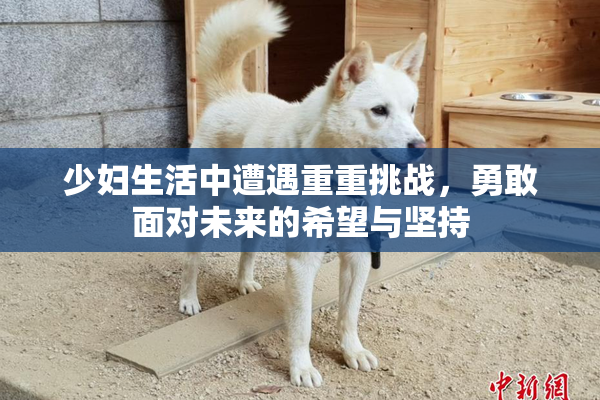 少妇生活中遭遇重重挑战，勇敢面对未来的希望与坚持