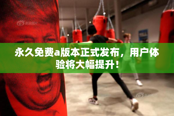 永久免费a版本正式发布，用户体验将大幅提升！