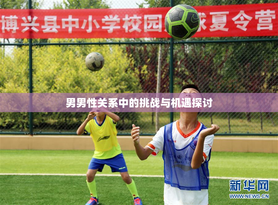 男男性关系中的挑战与机遇探讨