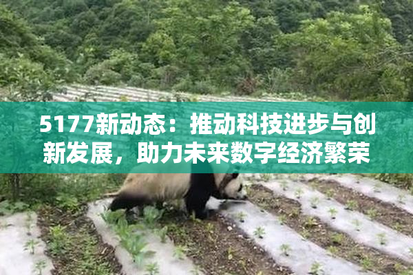5177新动态：推动科技进步与创新发展，助力未来数字经济繁荣！