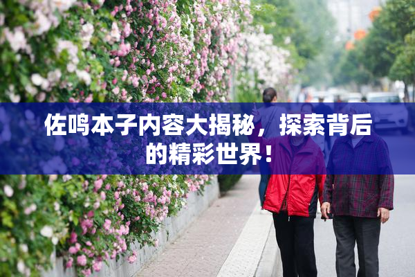佐鸣本子内容大揭秘，探索背后的精彩世界！