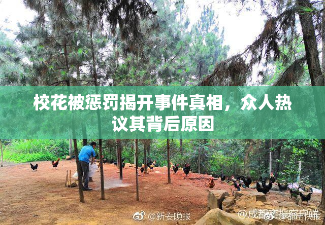 校花被惩罚揭开事件真相，众人热议其背后原因