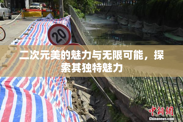 二次元美的魅力与无限可能，探索其独特魅力