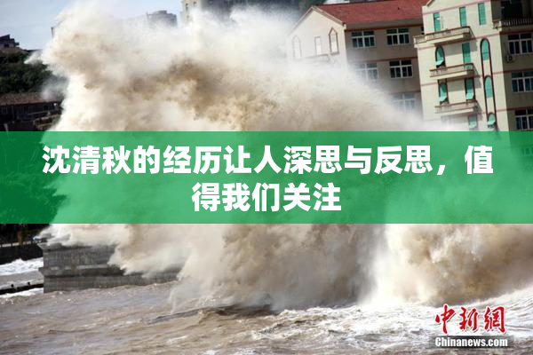 沈清秋的经历让人深思与反思，值得我们关注