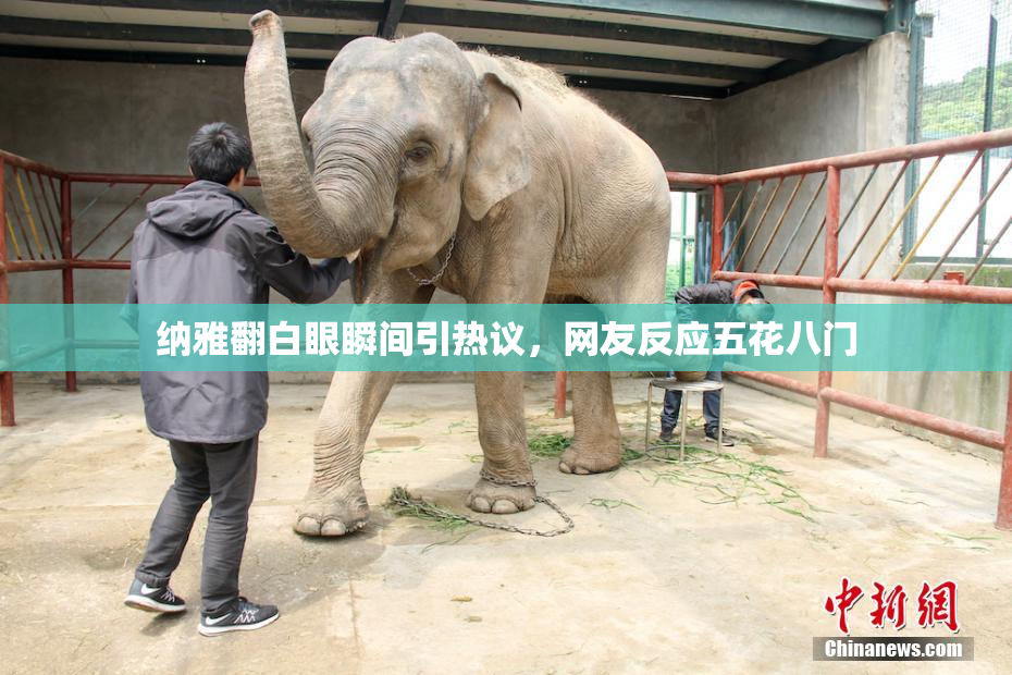 纳雅翻白眼瞬间引热议，网友反应五花八门