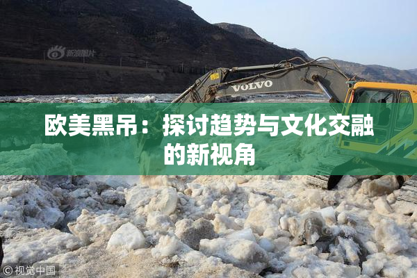 欧美黑吊：探讨趋势与文化交融的新视角