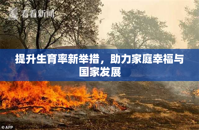 提升生育率新举措，助力家庭幸福与国家发展