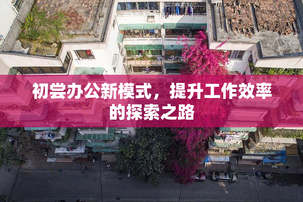 初尝办公新模式，提升工作效率的探索之路