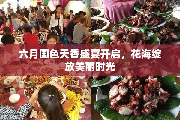 六月国色天香盛宴开启，花海绽放美丽时光