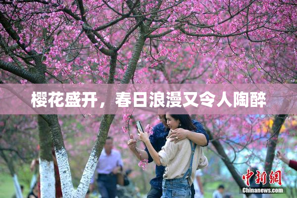 樱花盛开，春日浪漫又令人陶醉