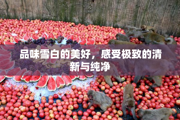 品味雪白的美好，感受极致的清新与纯净