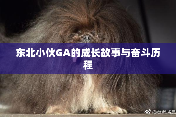 东北小伙GA的成长故事与奋斗历程