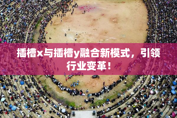 插槽x与插槽y融合新模式，引领行业变革！