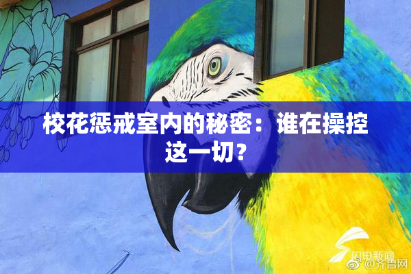 校花惩戒室内的秘密：谁在操控这一切？