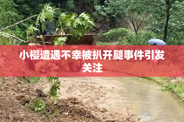小樱遭遇不幸被扒开腿事件引发关注