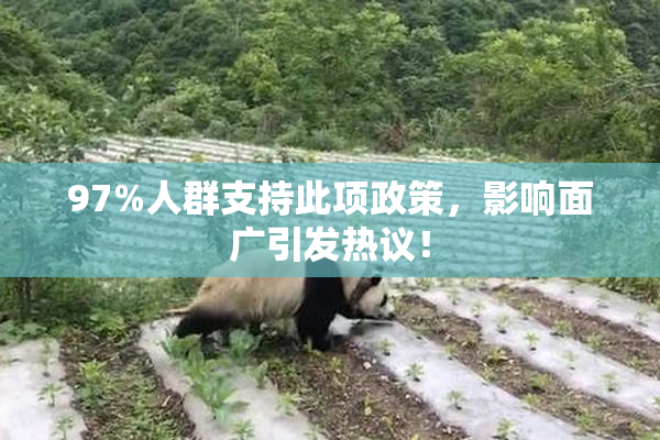 97%人群支持此项政策，影响面广引发热议！