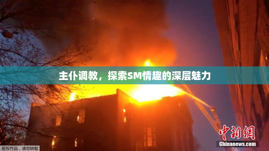 主仆调教，探索SM情趣的深层魅力