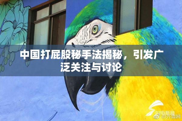 中国打屁股秘手法揭秘，引发广泛关注与讨论