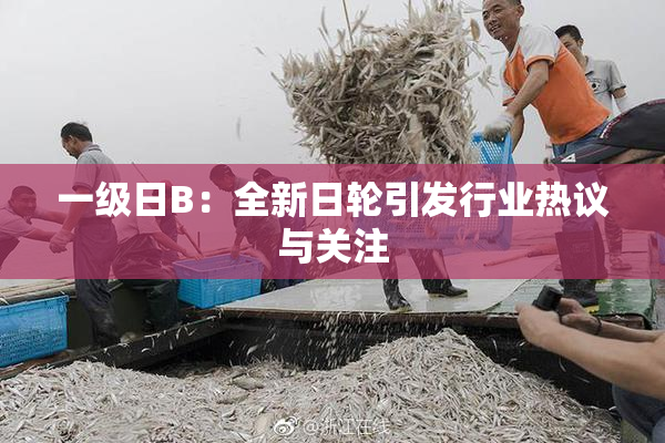 一级日B：全新日轮引发行业热议与关注