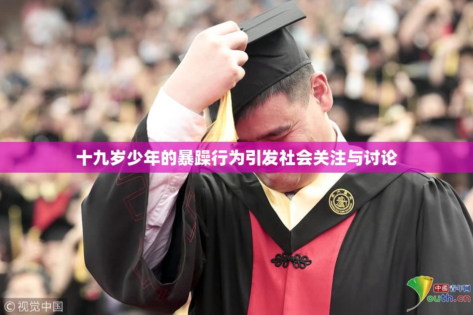 十九岁少年的暴躁行为引发社会关注与讨论