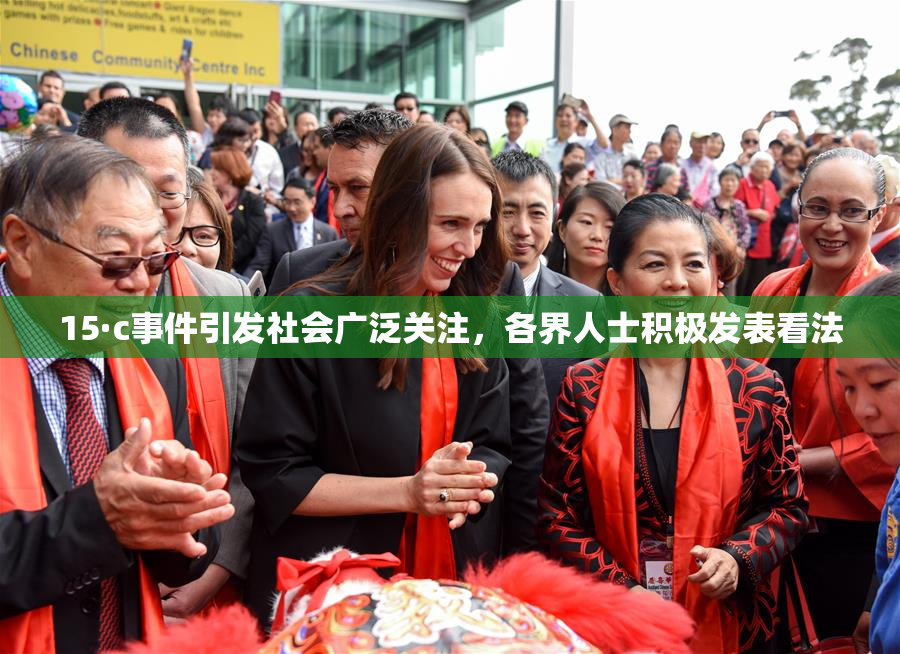 15·c事件引发社会广泛关注，各界人士积极发表看法